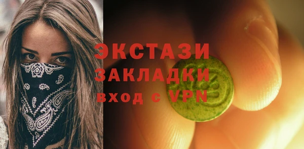 гидра Богданович