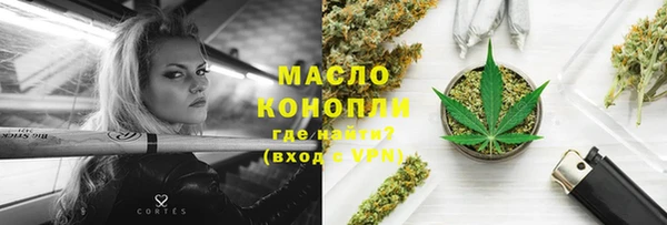 гидра Богданович