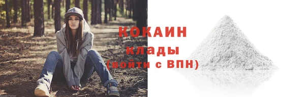 винт Богородицк