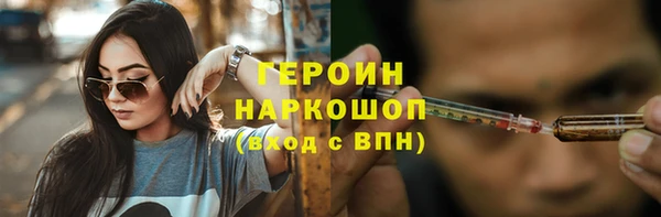гидра Богданович