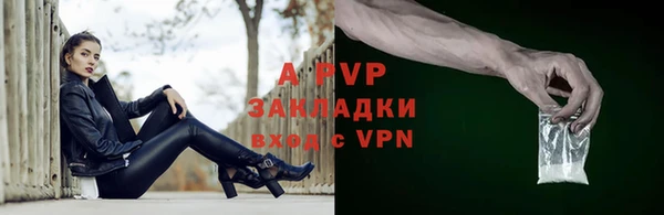 гидра Богданович