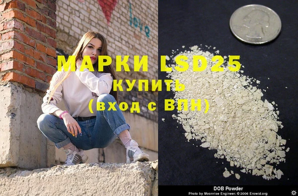 гидра Богданович