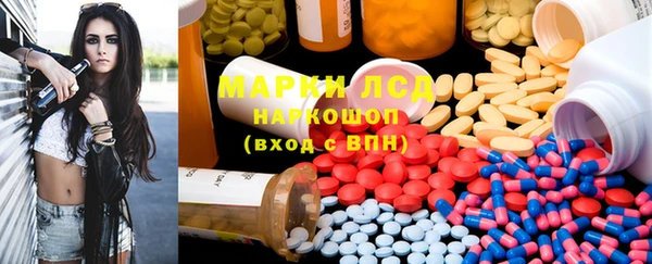 гидра Богданович