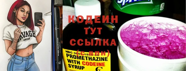 гидра Богданович