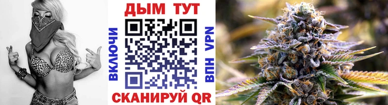 купить наркоту  Каневская  Бошки Шишки конопля 